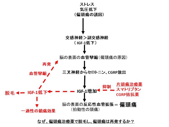 円形脱毛症　病院